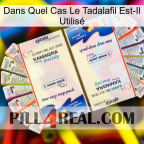 Dans Quel Cas Le Tadalafil Est-Il Utilisé kamagra1